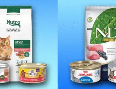Royal Canin cat food