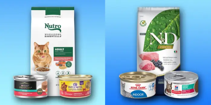 Royal Canin cat food